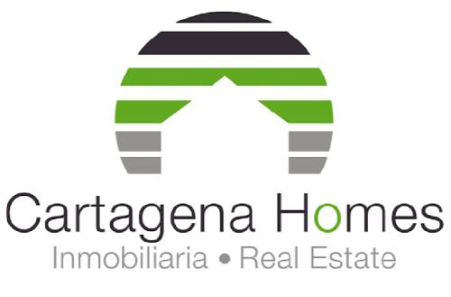 Sin_titulo-removebg-preview Sin_titulo-removebg-preview